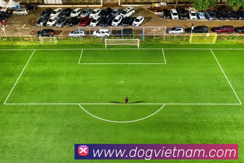 平台使命图